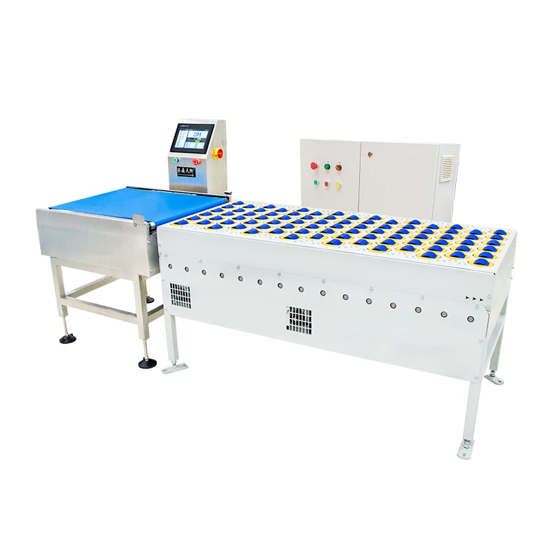 Checkweigher Scale