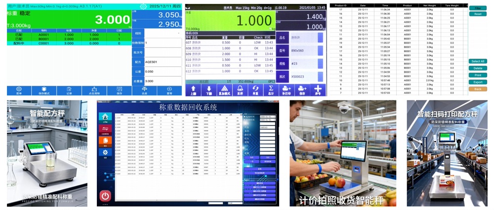 Jiangsu Jutian Weighing Equipment Co., Ltd. 